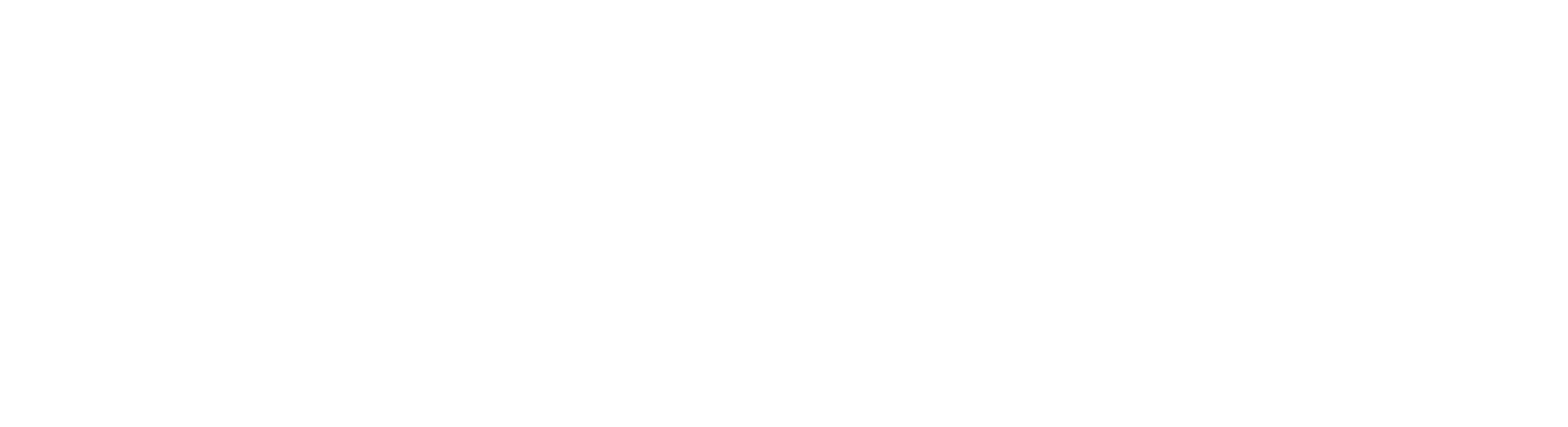 BIT-Logo 2025-white